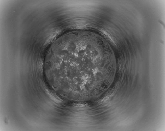 X0000091200542200708161616