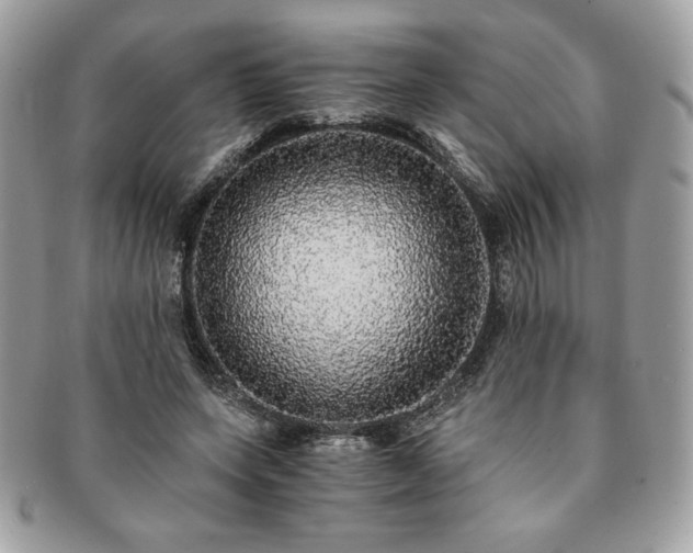 X0000091200543200708161616