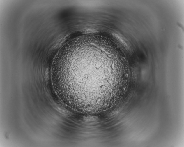 X0000091200549200708161616