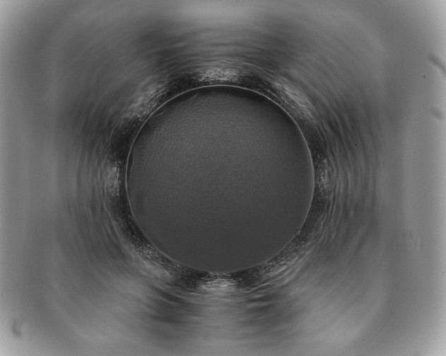 X0000091200551200708161616
