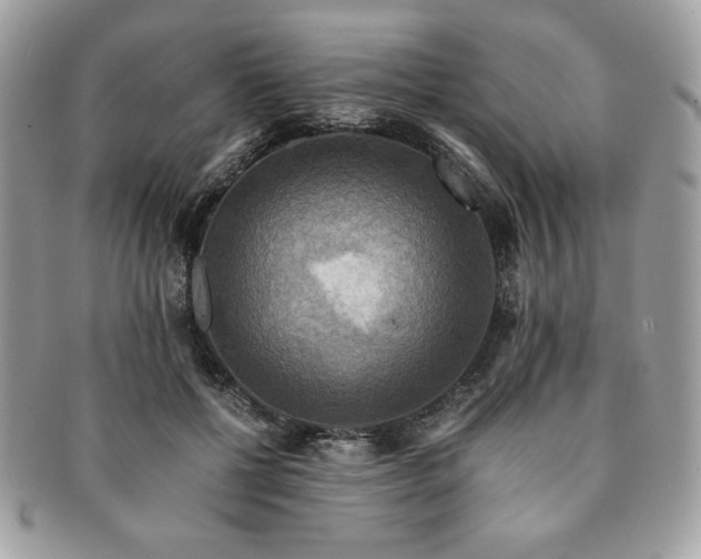 X0000091200552200708161616
