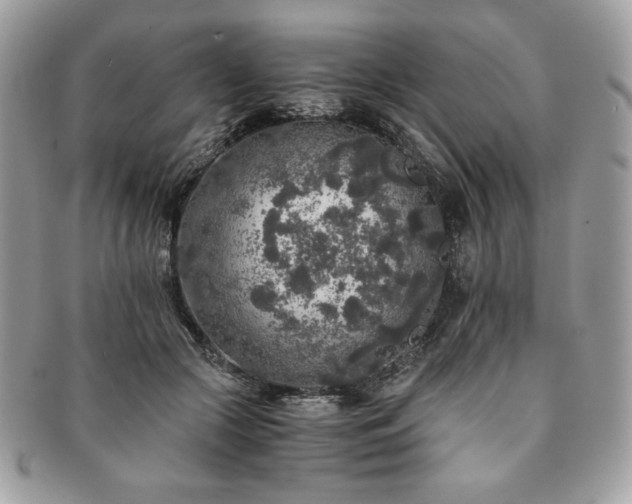 X0000091200553200708161616