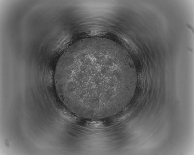 X0000091200554200708161616