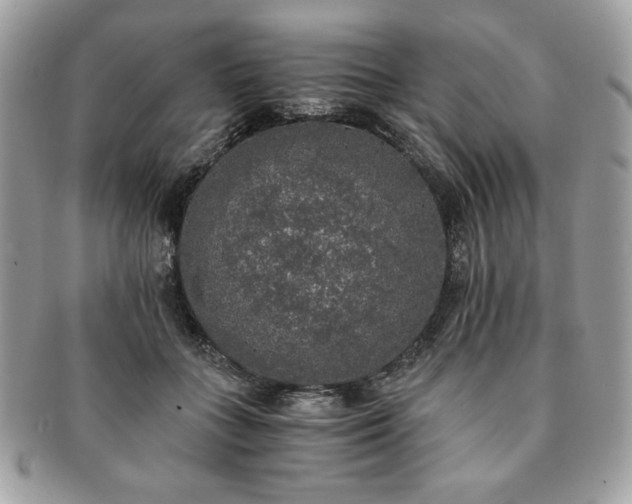 X0000091200555200708161616