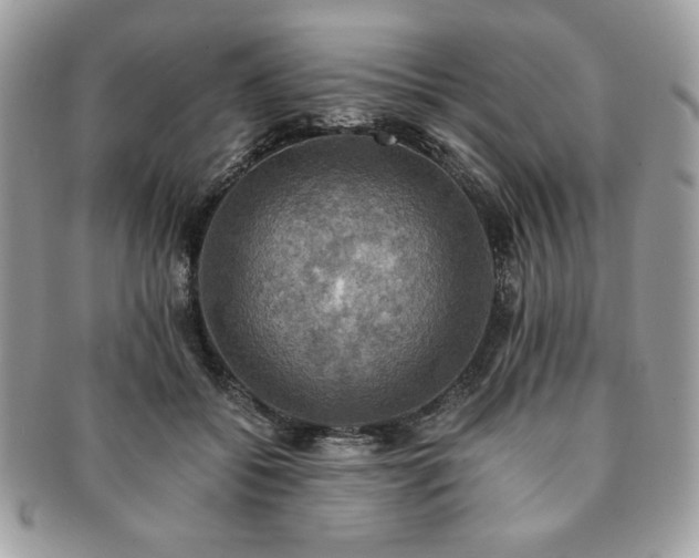 X0000091200556200708161616