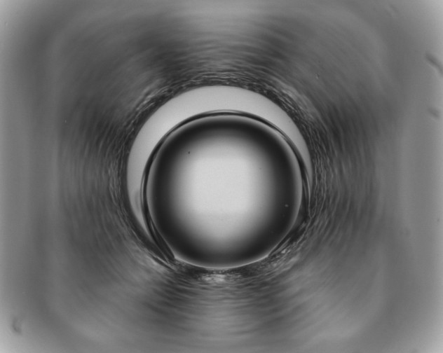 X0000091200558200708161616