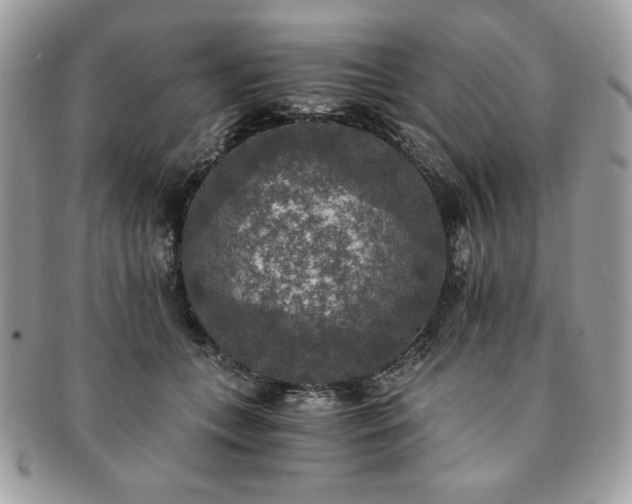 X0000091200559200708161616