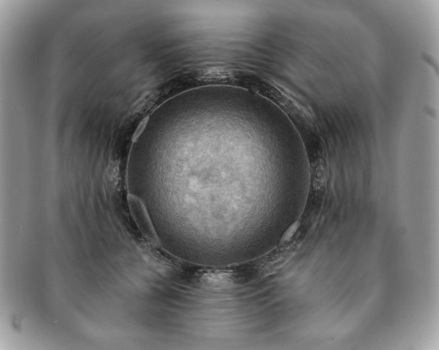 X0000091200560200708161616