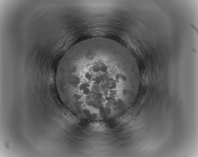 X0000091200561200708161617