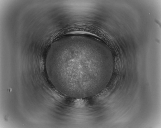 X0000091200562200708161617