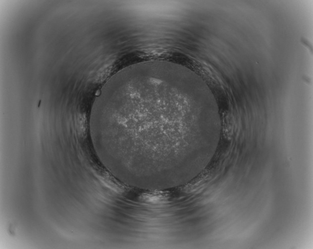 X0000091200563200708161617