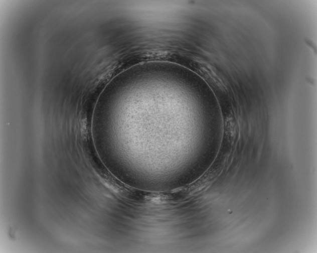 X0000091200564200708161617
