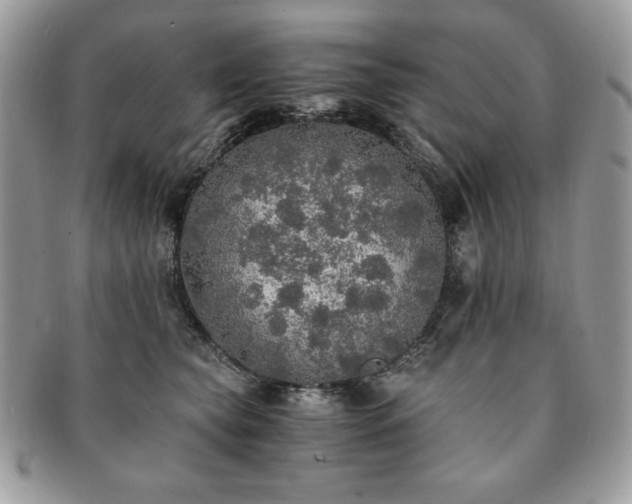 X0000091200565200708161617