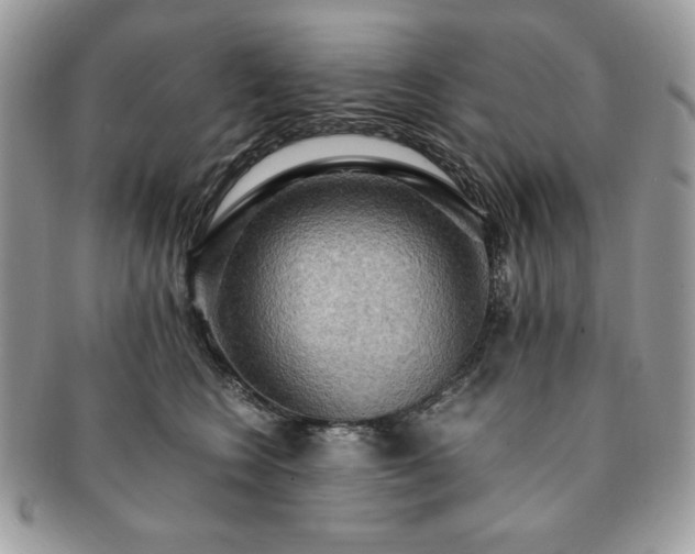 X0000091200566200708161617