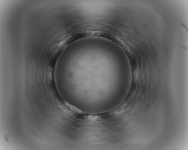 X0000091200570200708161617