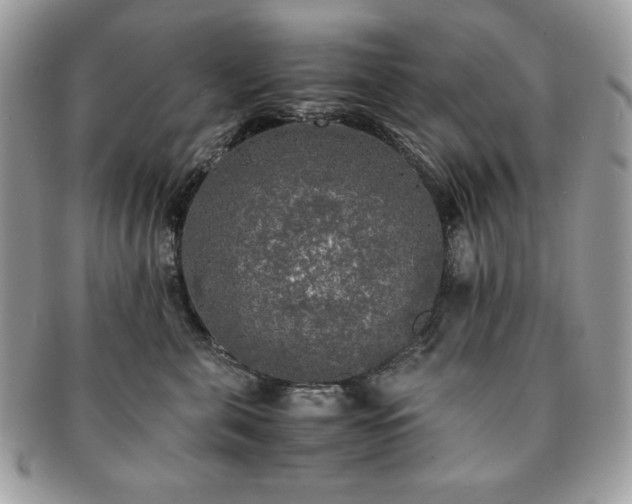 X0000091200571200708161617