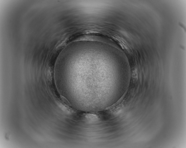 X0000091200572200708161617