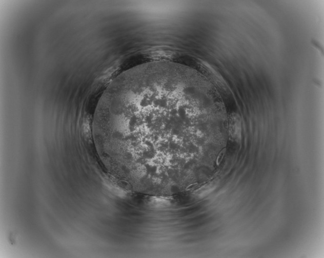 X0000091200573200708161617