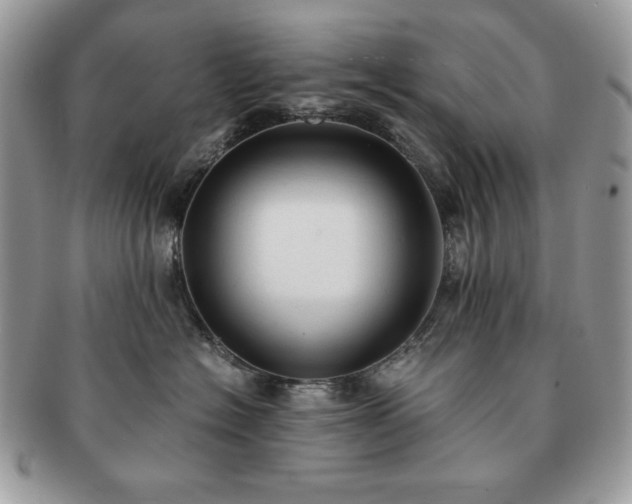 X0000091200574200708161617