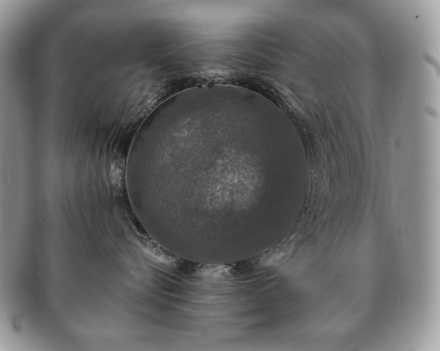 X0000091200576200708161617