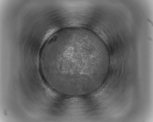 X0000091200578200708161616