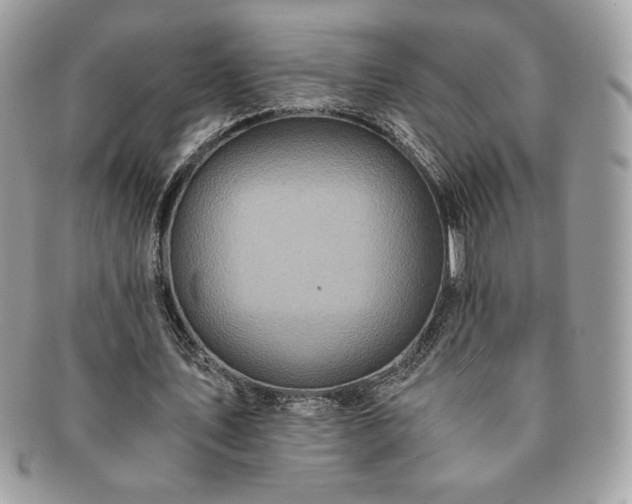 X0000091200579200708161616