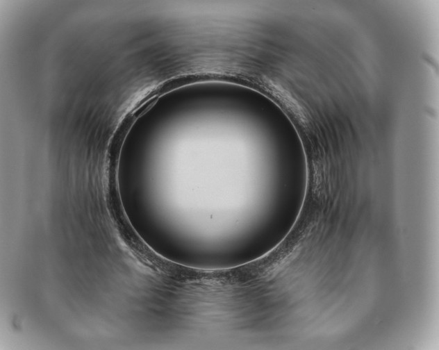 X0000091200580200708161616