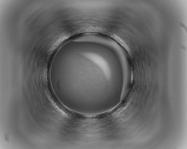 X0000091200581200708161616