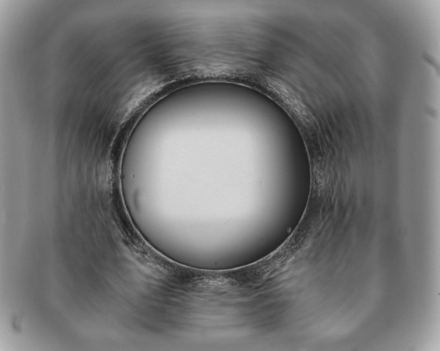 X0000091200583200708161616