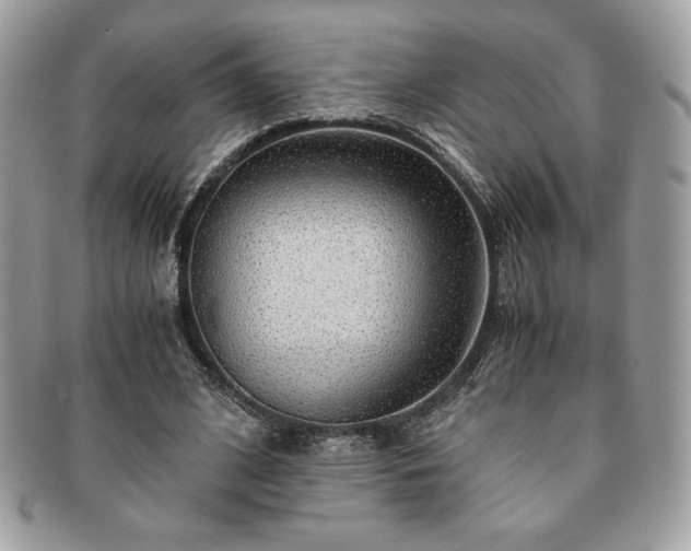 X0000091200584200708161616