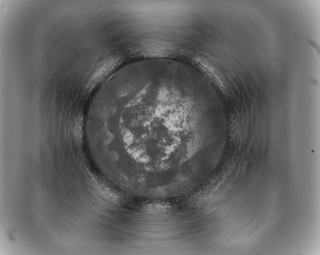 X0000091200586200708161616