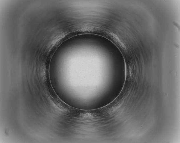 X0000091200588200708161616
