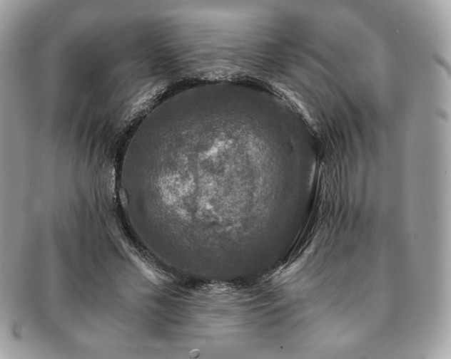 X0000091200589200708161616
