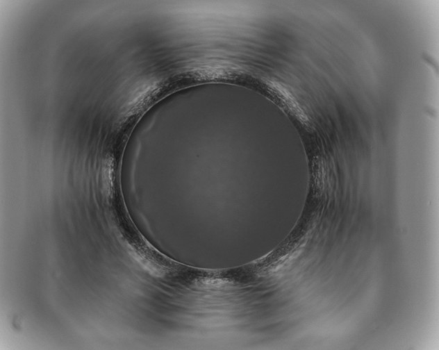 X0000091200590200708161616