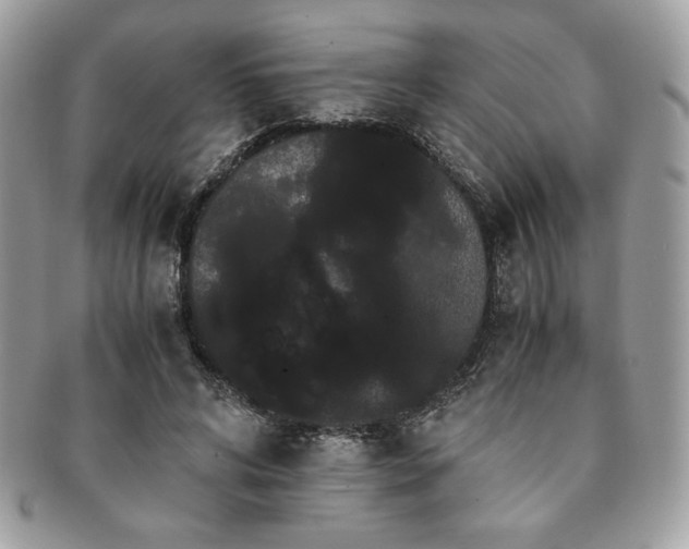 X0000091200592200708161616