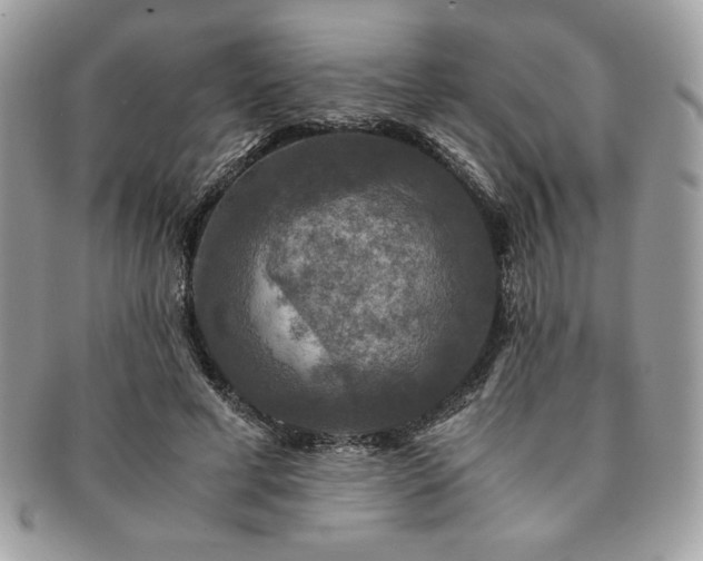 X0000091200593200708161616