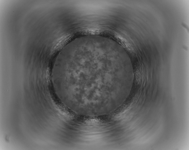 X0000091200594200708161616
