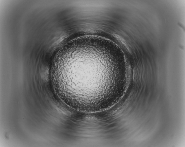 X0000091200596200708161616