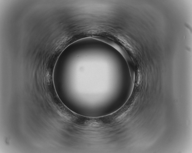 X0000091200597200708161616
