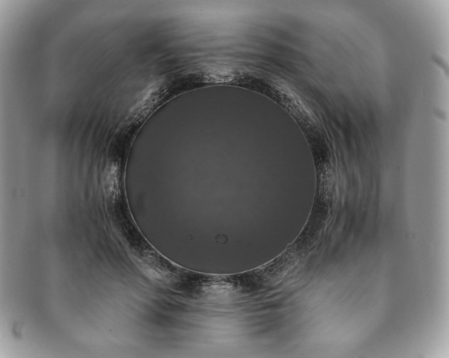 X0000091200598200708161616