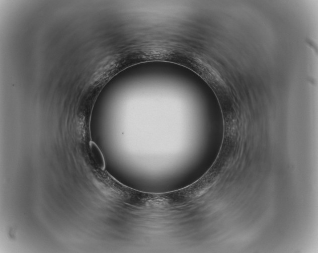 X0000091200599200708161616