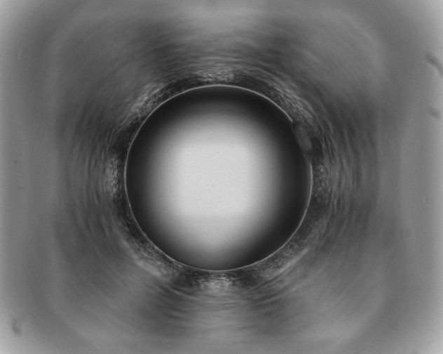 X0000091200600200708161616