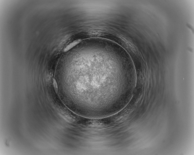 X0000091200601200708161616