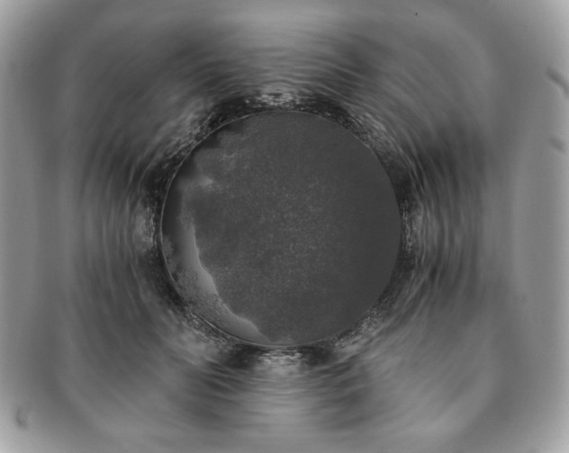 X0000091200606200708161615