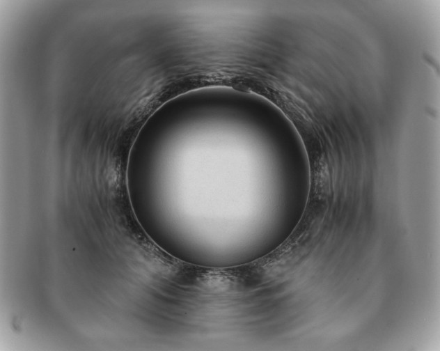 X0000091200608200708161615