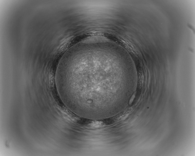 X0000091200609200708161615
