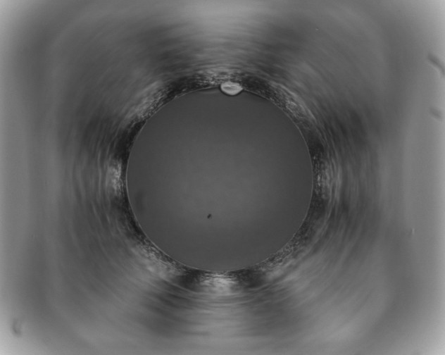 X0000091200610200708161615