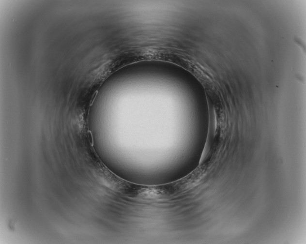 X0000091200611200708161615