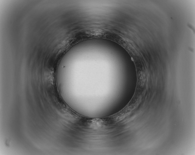 X0000091200612200708161615
