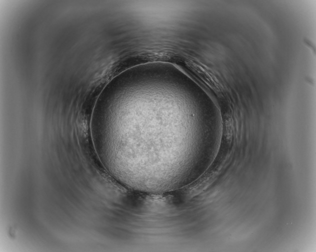 X0000091200613200708161615